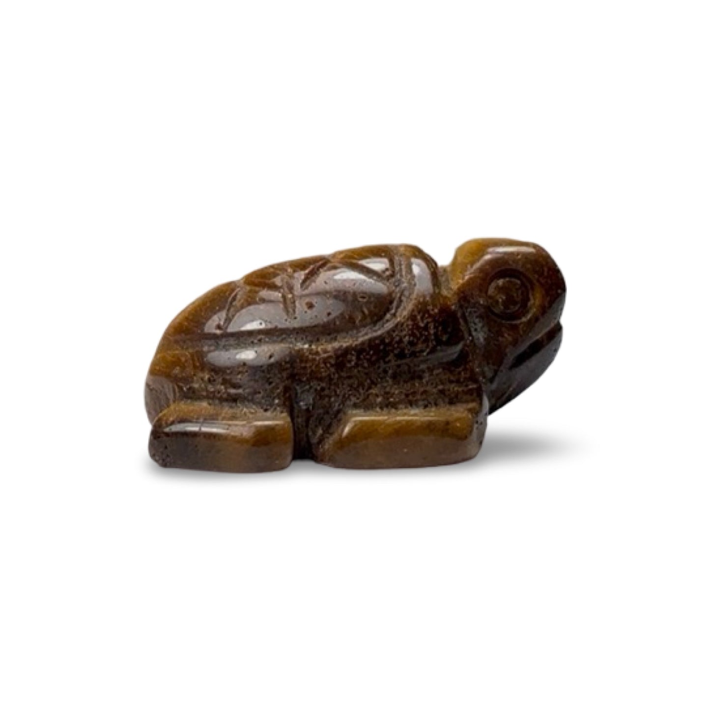 Tiger's Eye turtles