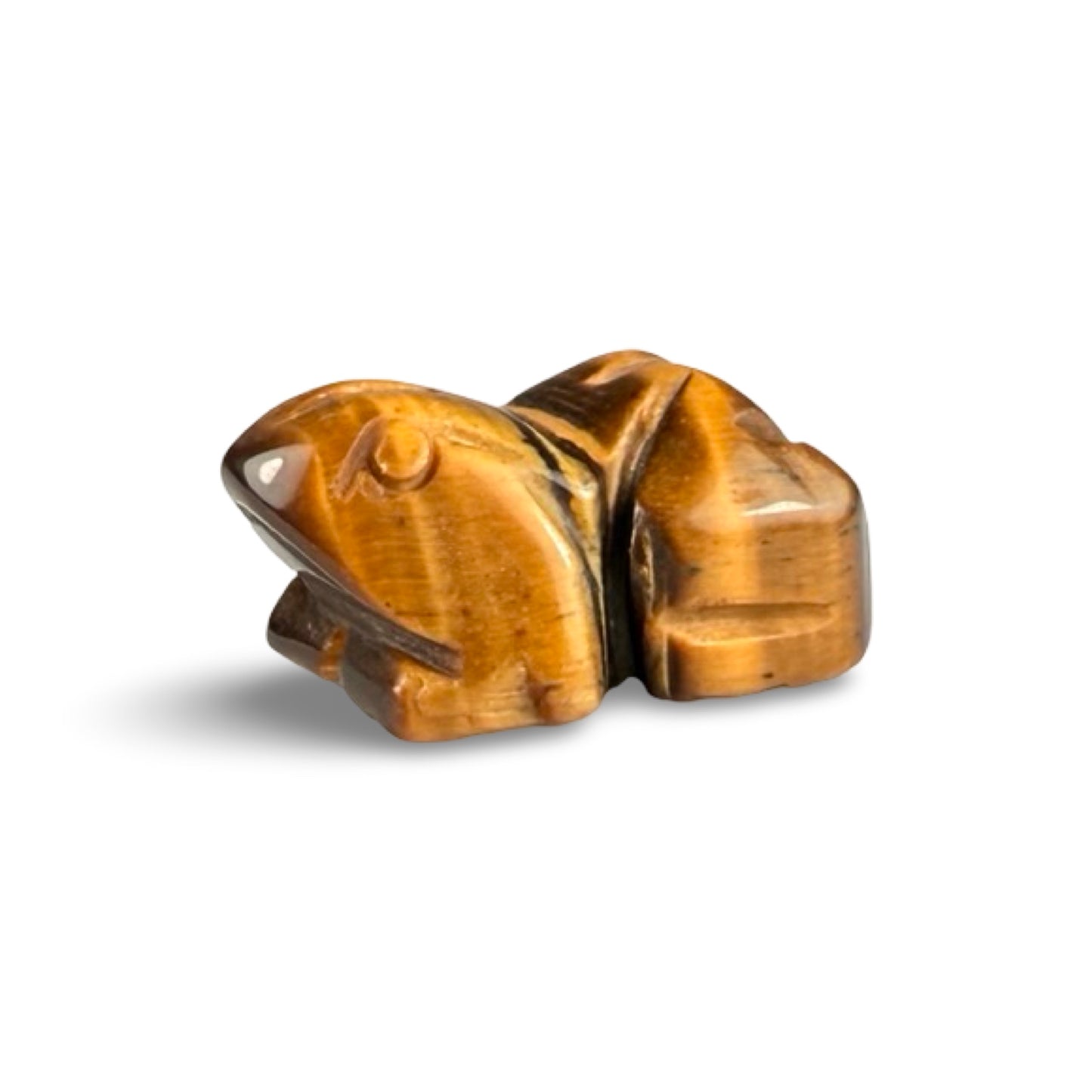 Tiger's Eye frogs