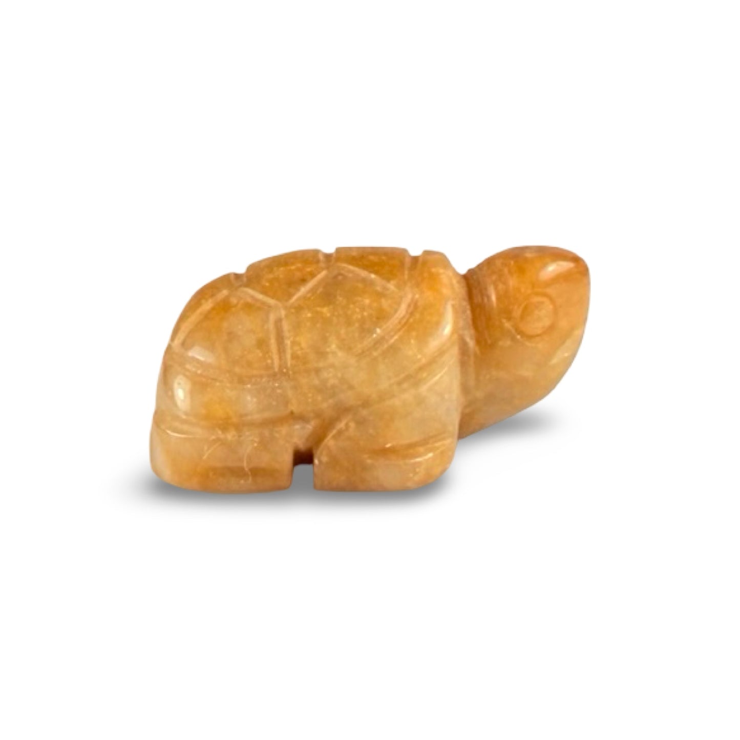 Topaz turtles