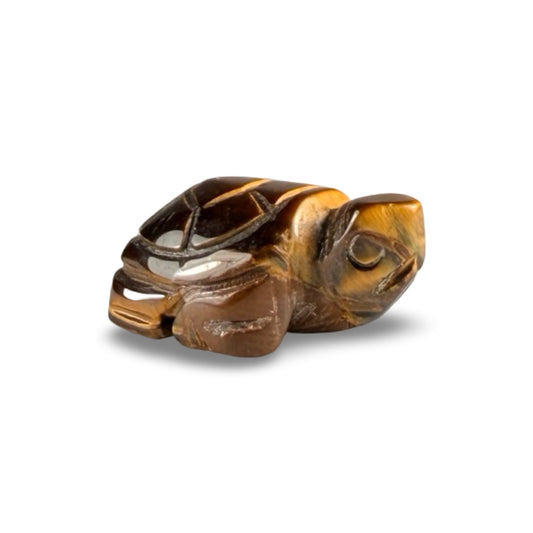 Tiger's Eye turtles