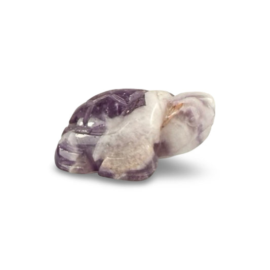 Amethyst turtles