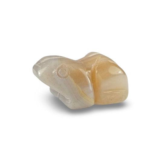 Agate Frogs