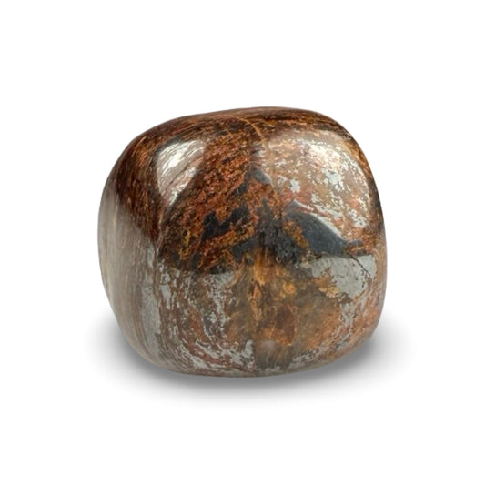 Bronzite tumbled stone for grounding and protection