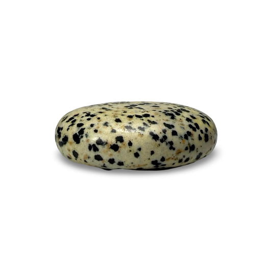 Dalmatian Jasper Pillow 45x35