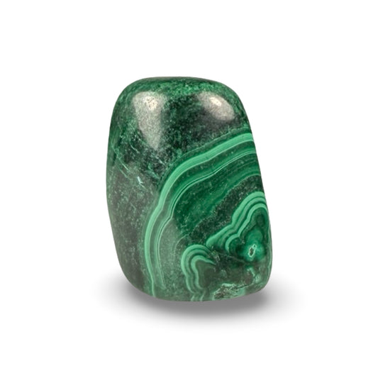 Tumbled Malachite crystal on white background, showcasing deep green patterns.