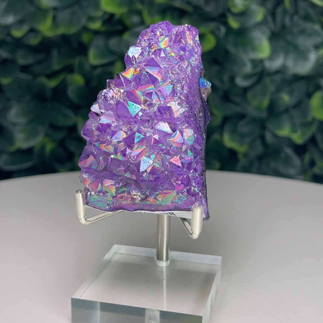 Angel Aura Amethyst Cluster