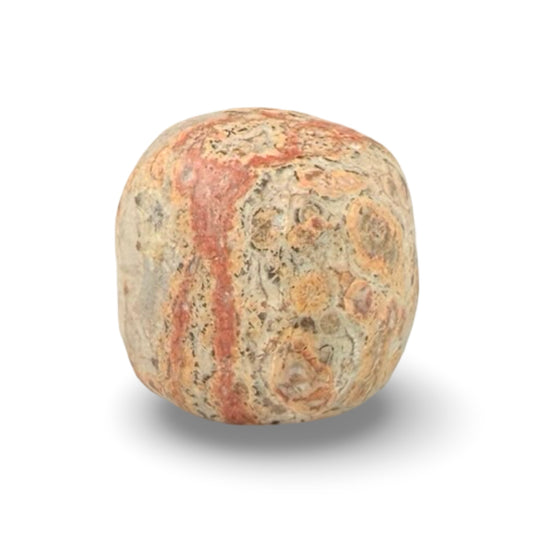 Tumbled Leopard Skin crystal on white background, showing its unique spotted patterns.